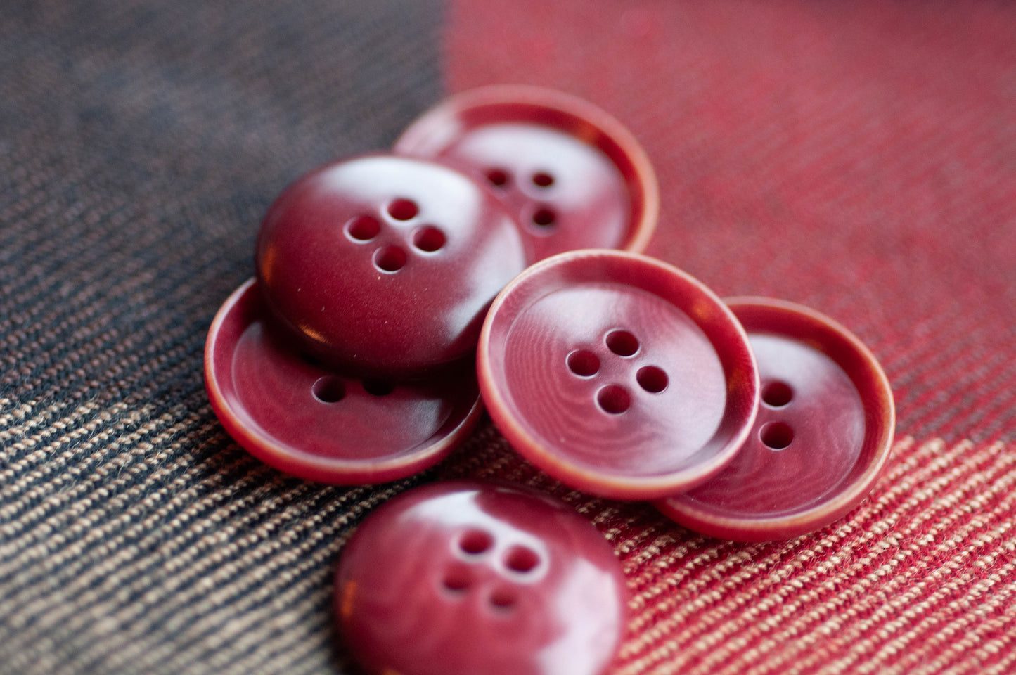 Bouton Corozo (Quatre coloris)